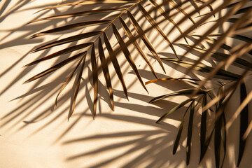 Obraz premium Nature's Tropic Breeze: Lush Palm Leaves on Exotic Summer Tree – Abstract Green Botanical Pattern in Sunlit Foliage Garden