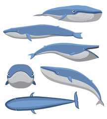 Cute Blue Whale Top Front Side Set Cartoon Vector