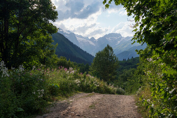 Obraz premium View of the Dombay-Ulgen gorge in the mountains of the North Caucasus and the trail to the Chuchkhur waterfall near the village of Dombay on a sunny summer day, Karachay-Cherkessia, Russia