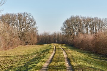 Fototapeta premium Path along a dike by a river
