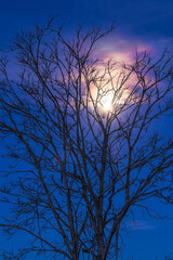 lua cheia na zona rural da cidade de Paracatu, Estado de Minas Gerais, Brasil