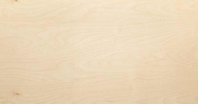 Texture background. High key birch wood plank natural texture, plank texture background, plank tabletop background.