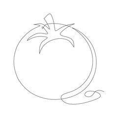 Single one line drawing whole healthy organic tomato for farming logo identity. Fresh tropical vegetable concept for vegie garden icon. Modern continuous line draw design graphic vector illustration
