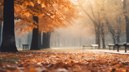blurred background of autumn park