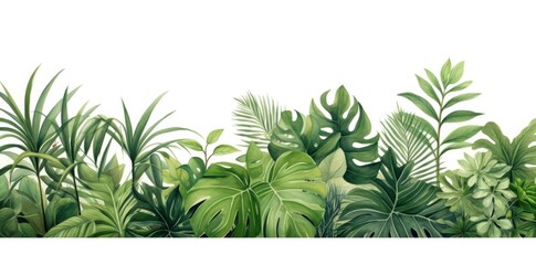 green tropical leaves on a white background