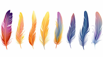 feathers illustration design on white isolated background