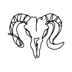 sheep skull illustration