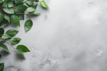 Tree branches with green leaves on a concrete table Old white and gray concrete background Ad board poster mockup Top view copy space - obrazy, fototapety, plakaty