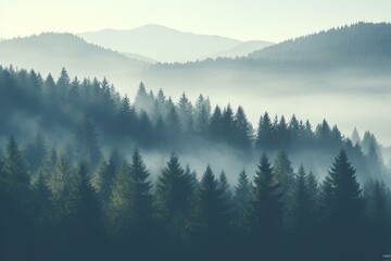 Vintage retro hipster style with foggy mountain landscape fir forest and copyspace