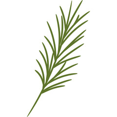 Pine Leaf Illustration