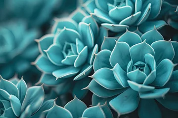 Gordijnen Close up of a teal cactus with leaves on a green background cactus pattern wallpaper showcasing succulent plant details and bloom © The Big L