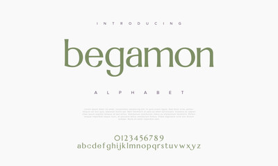 Begamon premium luxury elegant alphabet letters and numbers. Elegant wedding typography classic serif font decorative vintage retro. Creative vector illustration