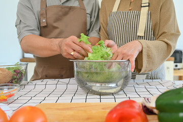 Hands of senior couple sorting out fresh vegetables preparing a fresh healthy vegan salad in kitchen