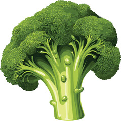 broccoli vector illustration