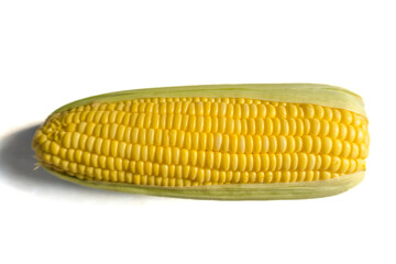 Corn on the cob summertime delight, Still life food photography for summer menu item