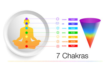 The seven chakras are thought of as the main energy points in your body, which run down the spine.