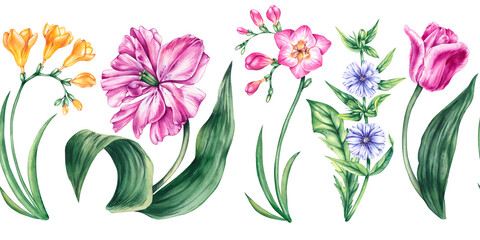 Watercolor horizontal seamless pattern of tulip, chicory, freesia flowers