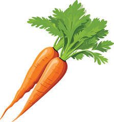 carrot vector illustration