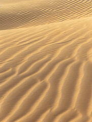 Fototapeta premium Minimalist dune sand,Generative AI 