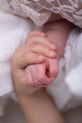 Newborn baby little hands body part affection motherhood