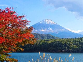 Natural photography in Japan, mount Fuji mountain with snow peak, lake and red tree