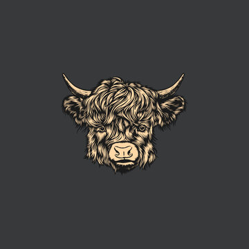 recommend clip art: cattle highland cow hand draw