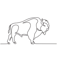 Continuous line drawing of American Bison. Buffalo animal standing. Wildlife concept. Vector illustration isolated. Minimalist design handdrawn.