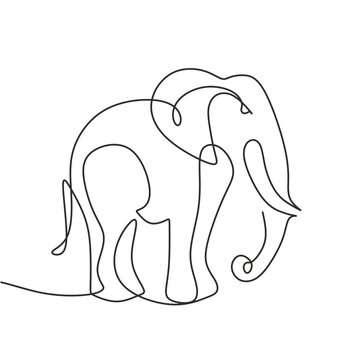 One line drawing of elephant animal. Wild object of zoo sketch. Vector illustration isolated. Minimalist design handdrawn.
