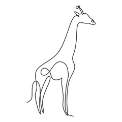 Giraffe in continuous one line art drawing. Vector illustration isolated. Minimalist design handdrawn.