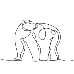 Bear wild animal in continuous line art drawing. One single outline wildlife concept. Vector illustration isolated. Minimalist design handdrawn.