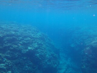 Fototapeta na wymiar 沖縄の海 