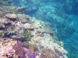 沖縄の海	
