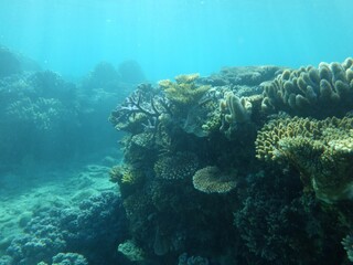 沖縄の海	
