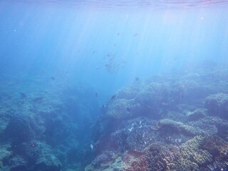 沖縄の海	
