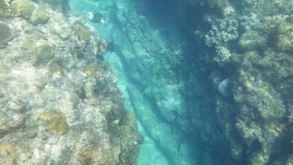 沖縄の海	
