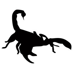 silhouette of a black scorpion walking