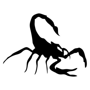 silhouette of a black scorpion walking
