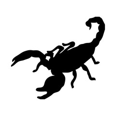 silhouette of a black scorpion walking