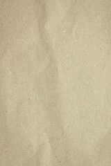 blank brown paper texture background, old page for craft design