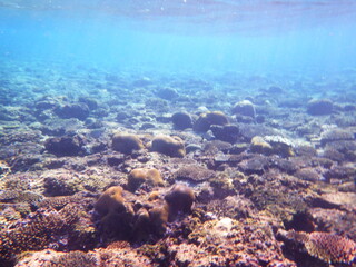 沖縄の海	
