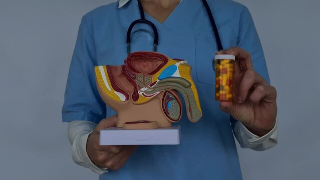 Doctor holds tablets for treatment of male diseases and prostatitis. Consultation with a urologist for a patient with prostatitis and treatment