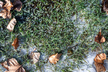 Hoar frost and ice crystals on a frozen green grass lawn on a frozen cold winter day

