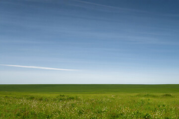 green field and blue sky