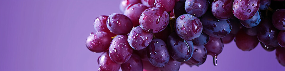 a fresh grape with a dewy surface on the air in a purple background for a banner, wine label, copy...