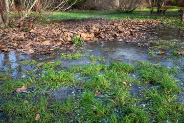 Frozen flooded grass lawn on a freezing cold and sunny winter day, as a nature background
