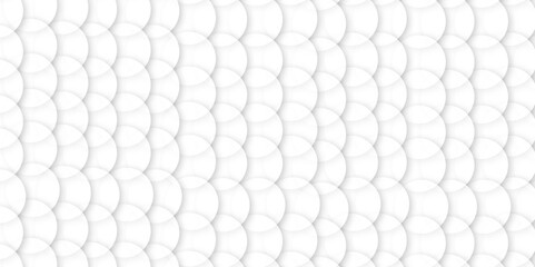 Abstract white background with circles. background white in cover design, book design, website background. digital technology wallpaper used in the corporate in design.