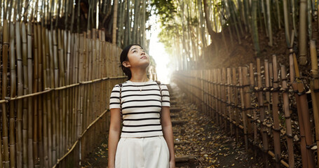 Nature, bamboo path and Japanese woman for hiking on holiday, vacation and morning in outdoor...