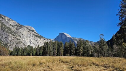 Obraz premium Wildlife climate