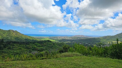 Obraz premium Wildlife climate