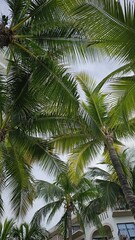 Fototapeta premium Wildlife climate